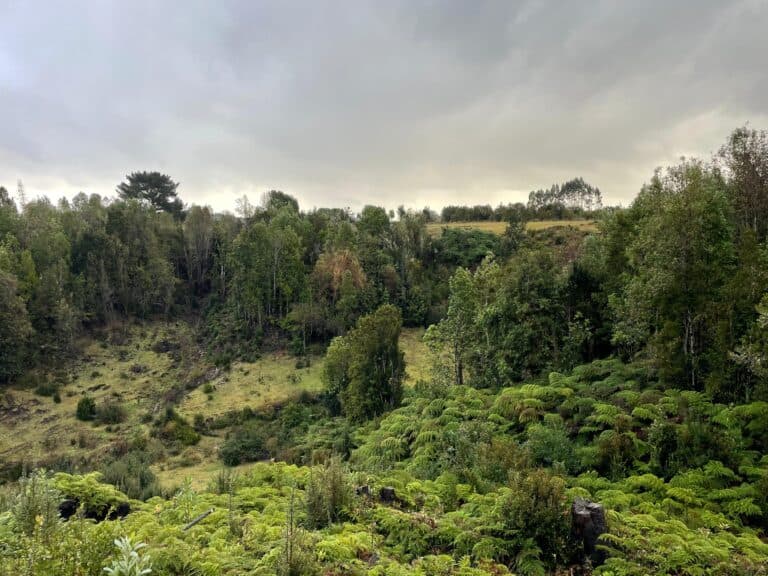 Lomas de Pargua